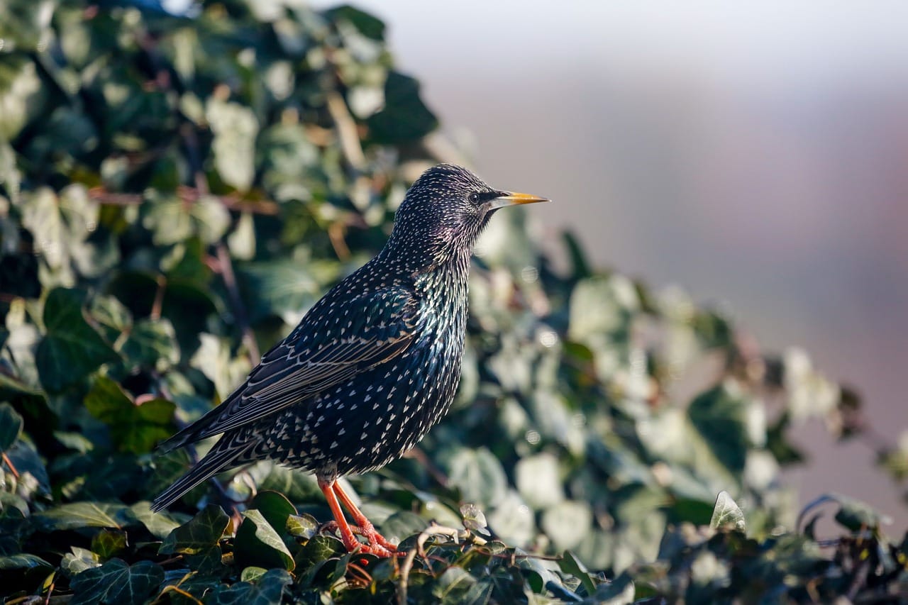 blog-turystyczny (273)