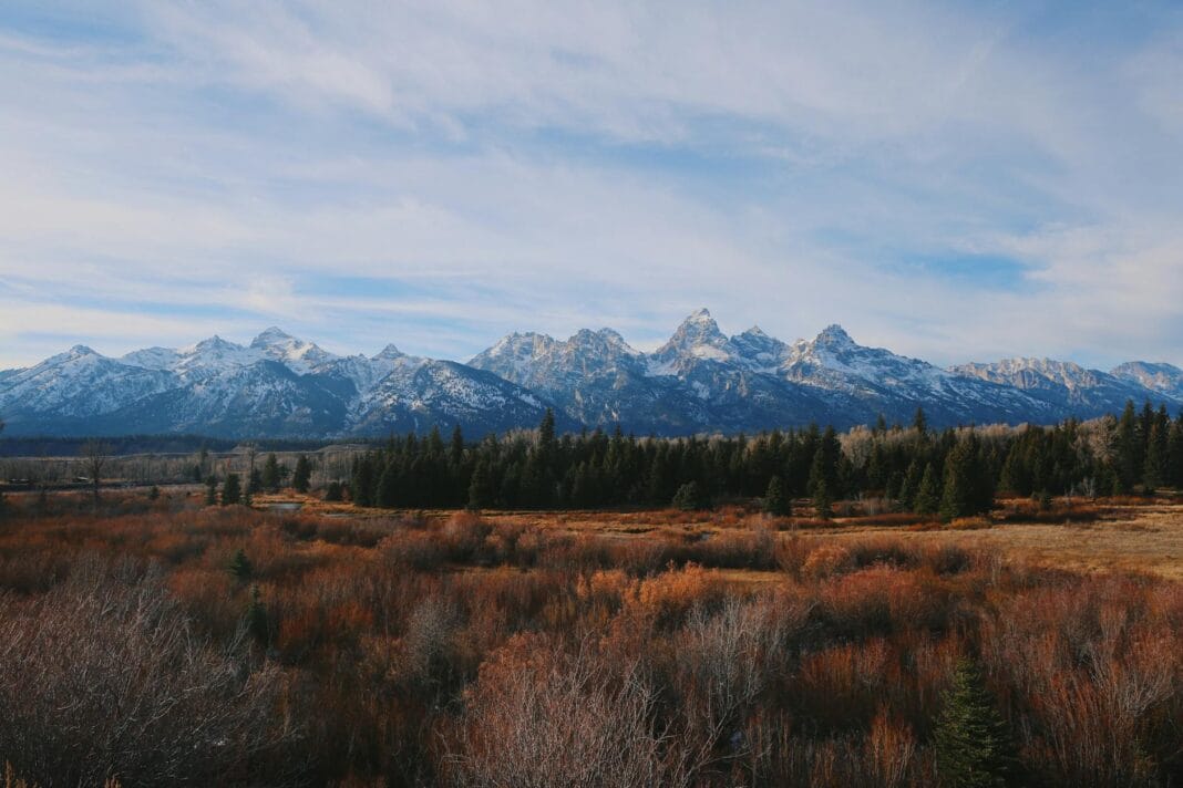 Góry Grand Teton i dzika przyroda USA w słoneczny, bezchmurny dzień Góry Grand Teton i dzika przyroda USA w słoneczny, bezchmurny dzień