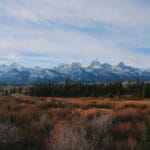 Najpiękniejsze parki narodowe USA na pierwszy wyjazd Góry Grand Teton i dzika przyroda USA w słoneczny, bezchmurny dzień