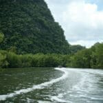 Łódź płynąca rzeką wśród gęstej, zielonej dżungli