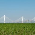 Wielka podróż po Chinach: 2 tygodnie klasyków i perełek Most Erqi nad Jangcy w Wuhan z panoramą miasta i zielonymi polami