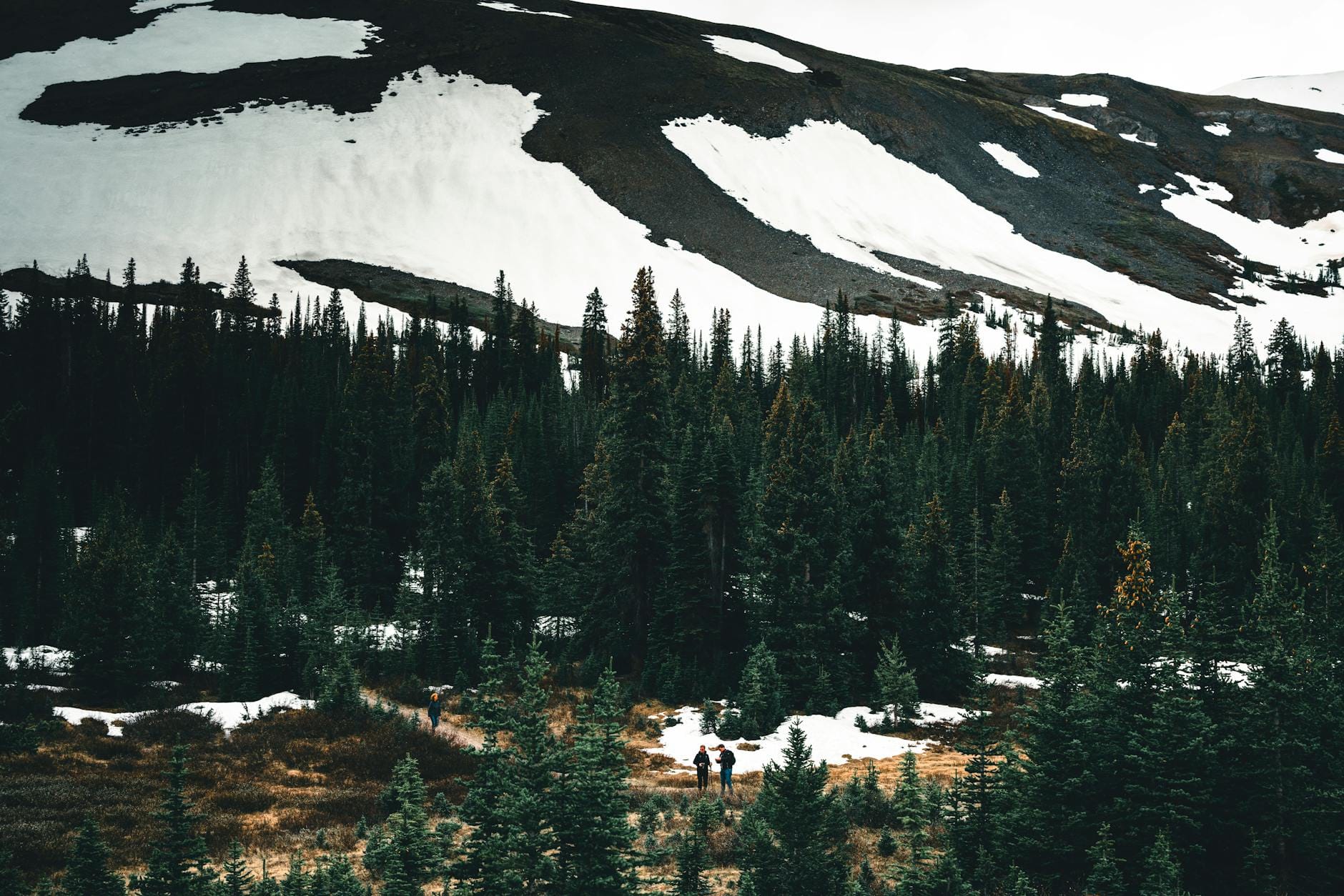 Najciekawsze parki narodowe w Polsce na start przygody Zimowe górskie szczyty i świerkowy las pod grubą warstwą śniegu